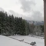 šumavský Buk 14 Brčálník *