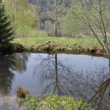 Sumavsky Buk 14 Brcalnik Hojsova Straz
