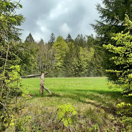 šumavský Buk 14 Brčálník Apartamento