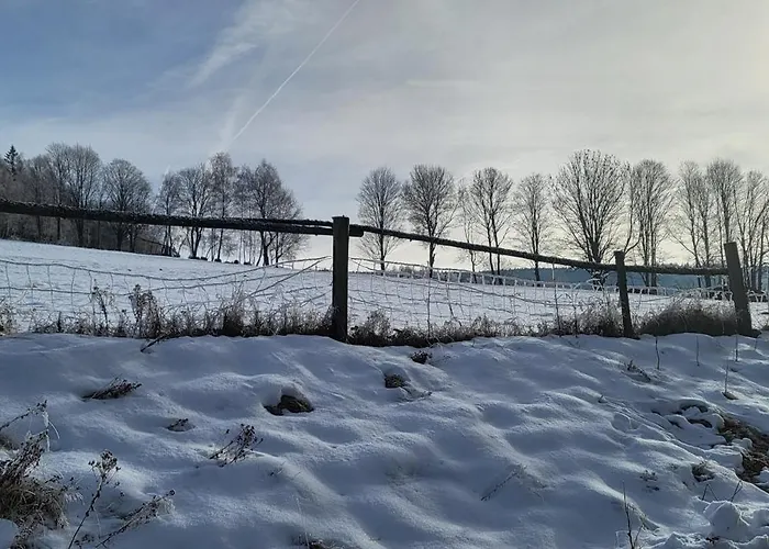 Sumavsky Buk 14 Brcalnik דירה Hojsova Stráž